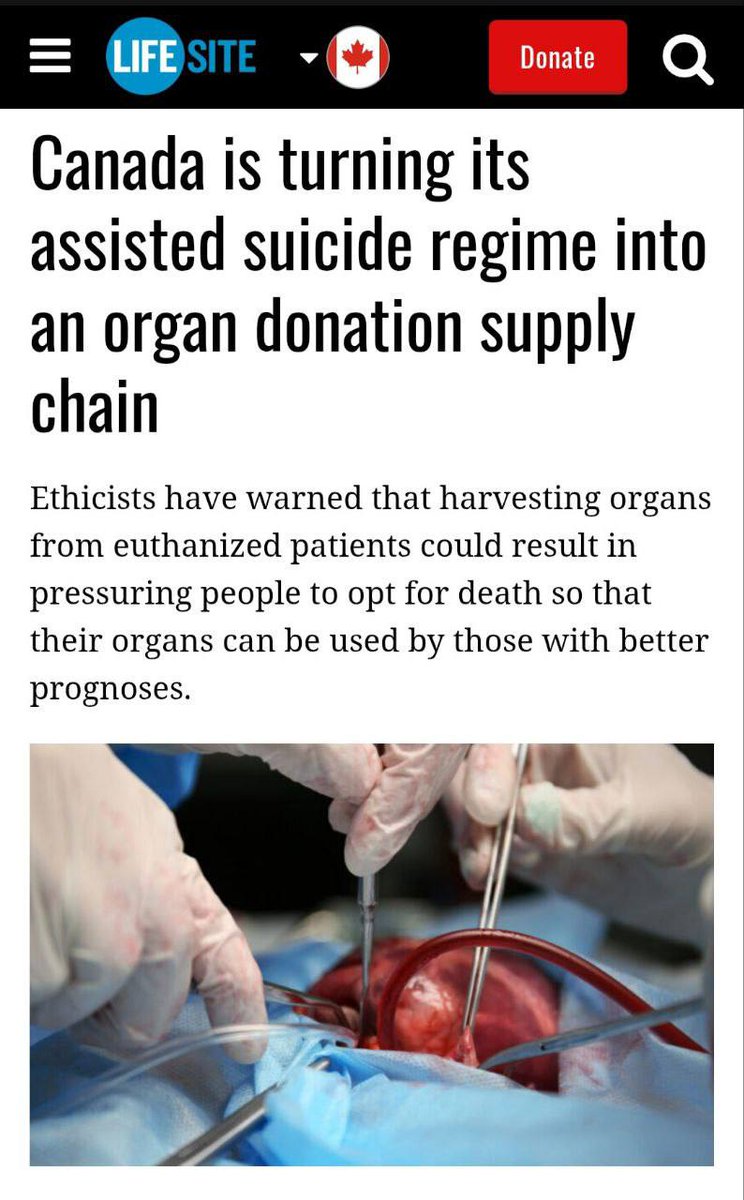 A webpage screenshot with a headline reading "Canada is turning its assisted suicide regime into an organ donation supply chain." Below the headline, text discusses ethical concerns about organ harvesting from euthanized patients. An image shows two gloved hands holding surgical instruments near a human heart during a transplant procedure.