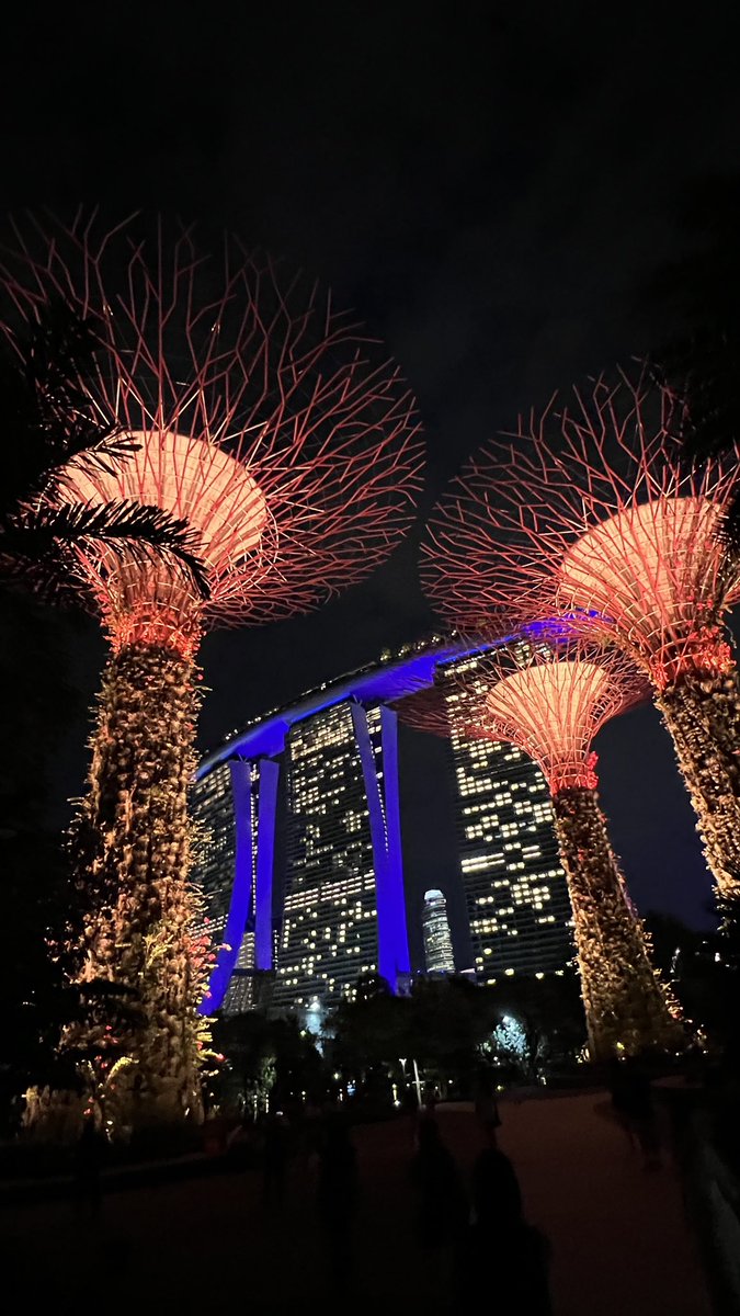 Token 2049 recap: 

- met my frens 
- grabbed all the merch
- collected TG contacts I don't need 
- suffered from heat