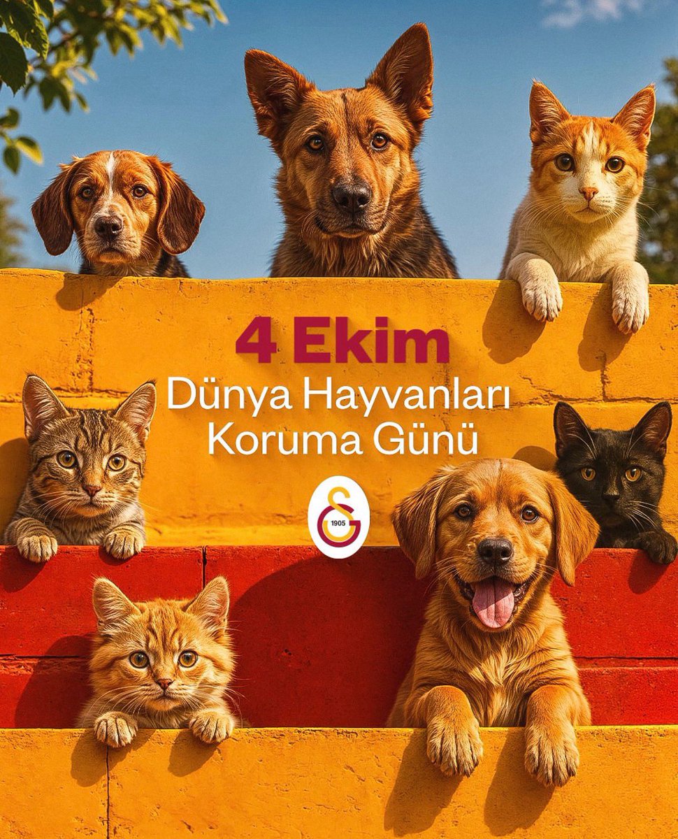 deniz1453's tweet photo. https://t.co/aUUwwbdusG