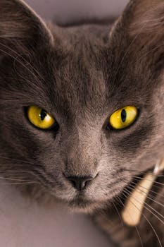 明日から本持ち歩く…予定