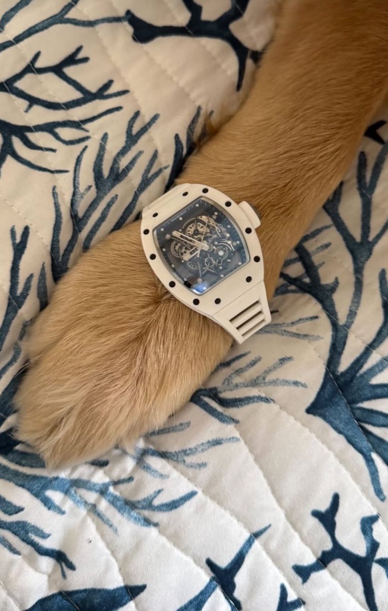 FakeMink Bot (@londonssaviour) on Twitter photo 