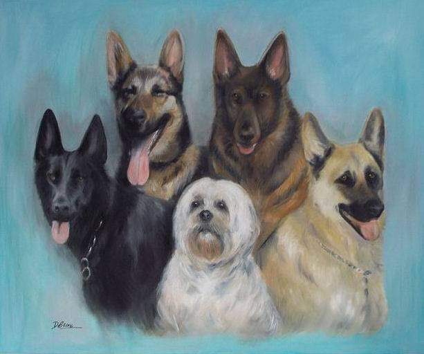 carolc1509's tweet photo. @ZoeyCatBell @Matt_Pinner Back row Sabre, Shiloh,  Front row Heidi, Sam and Dana https://t.co/Fyiy14QGLL