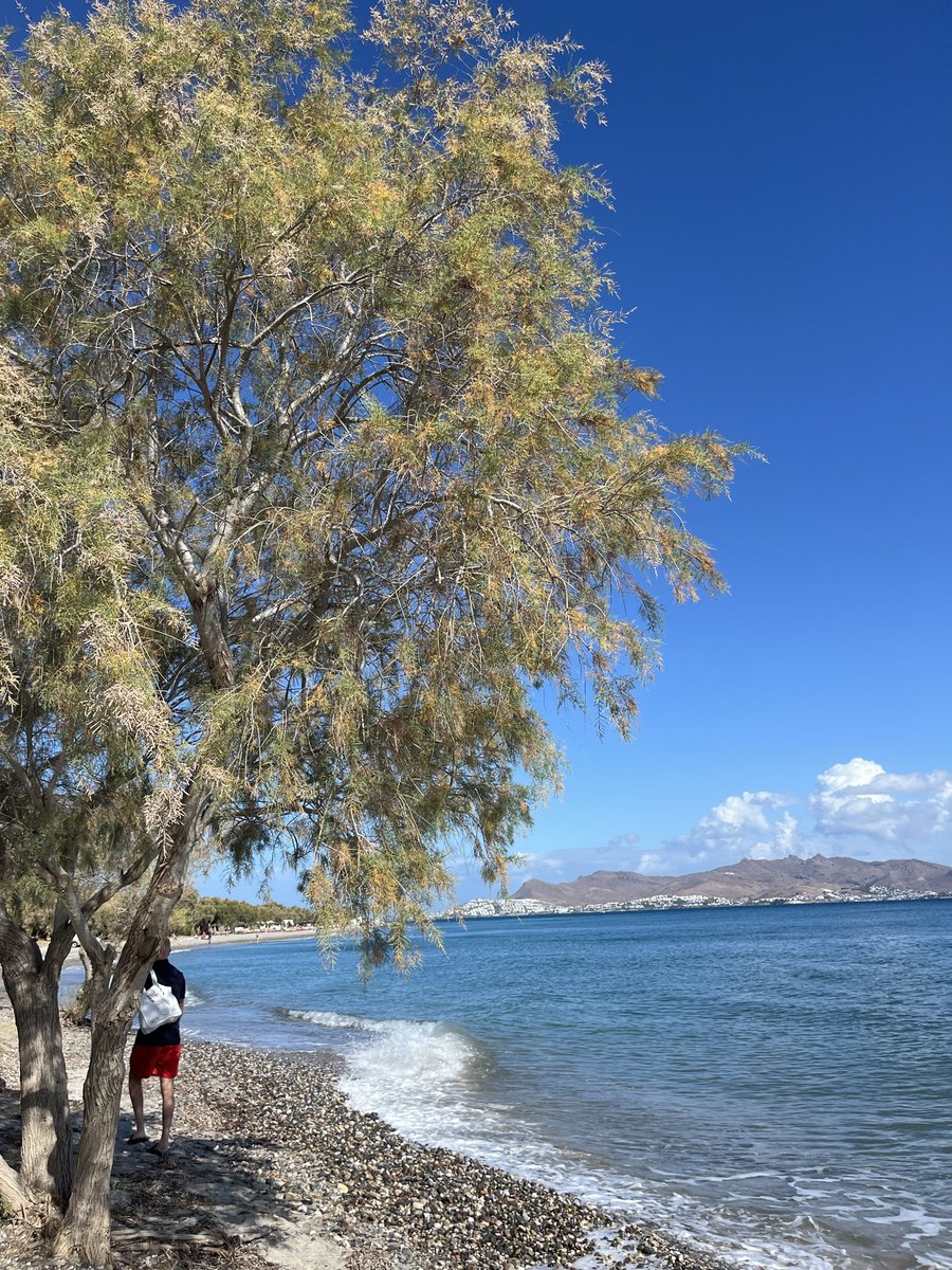 ThemodTaniaxxxx's tweet image. A little stroll on the beach , beautiful #kos