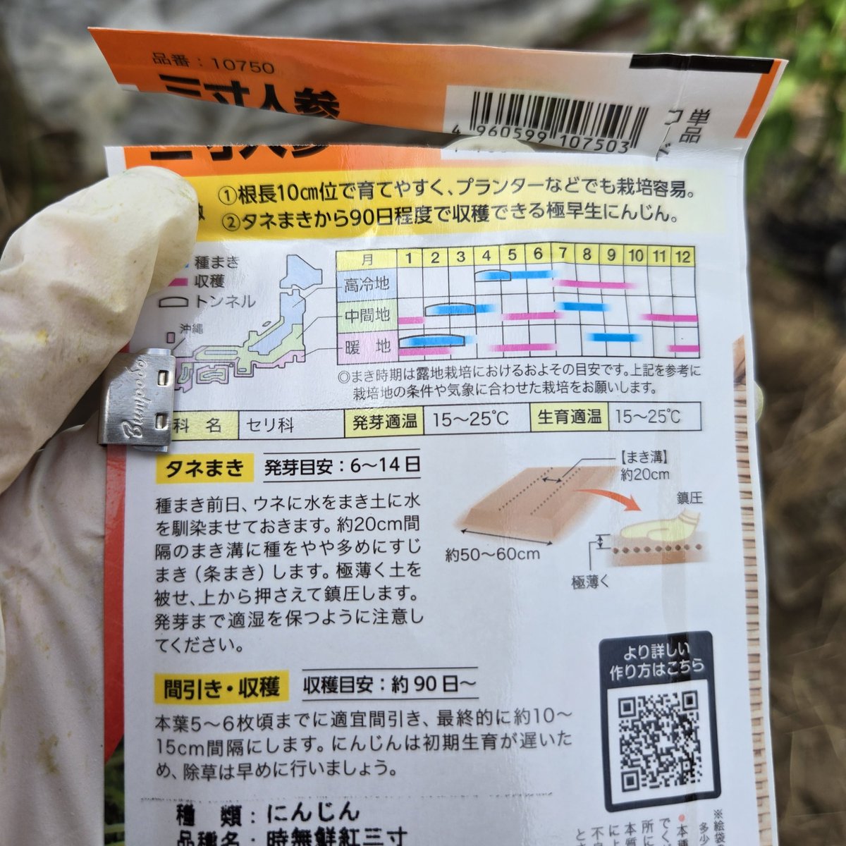 ★信州★ 🌲家庭菜園🌲Q's natural garden🌲 tweet media