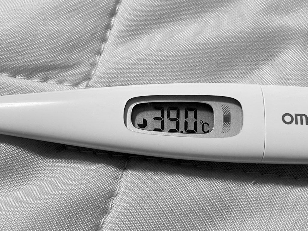 しらゆき tweet media