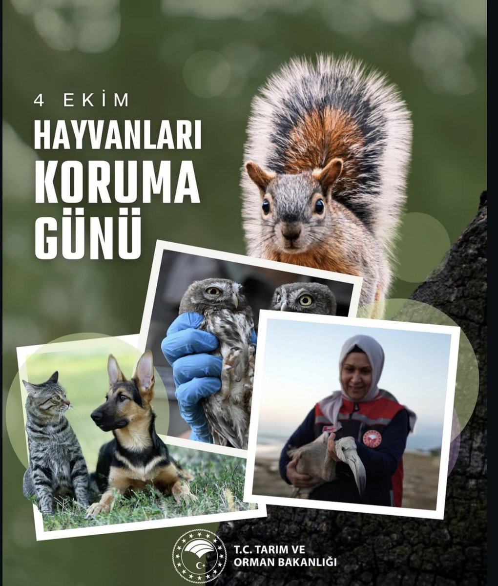 Battalgazi İlçe Tarım ve Orman Müdürlüğü (@battalgazitarim) on Twitter photo 