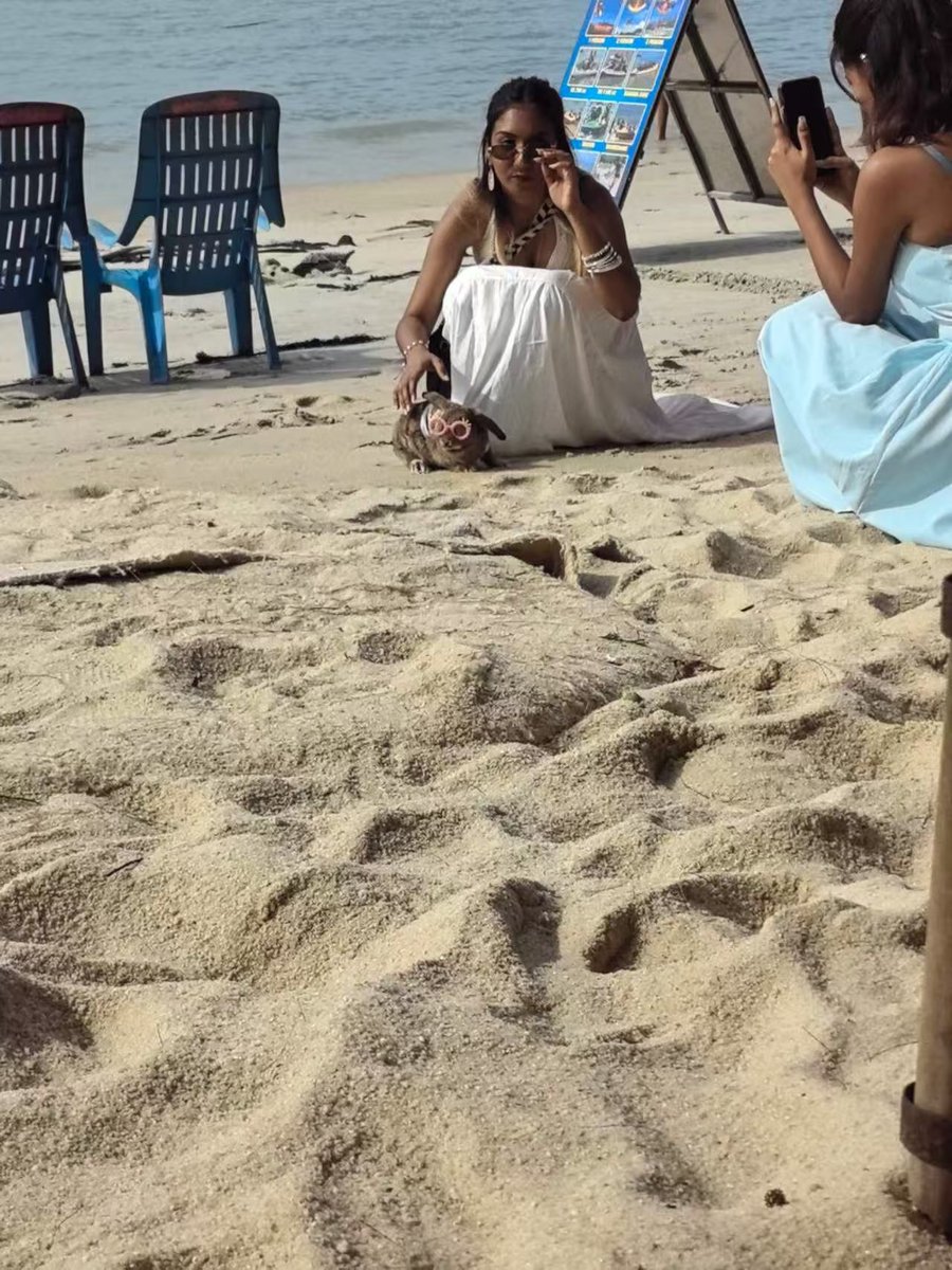 0532 Mr. Q tweet media