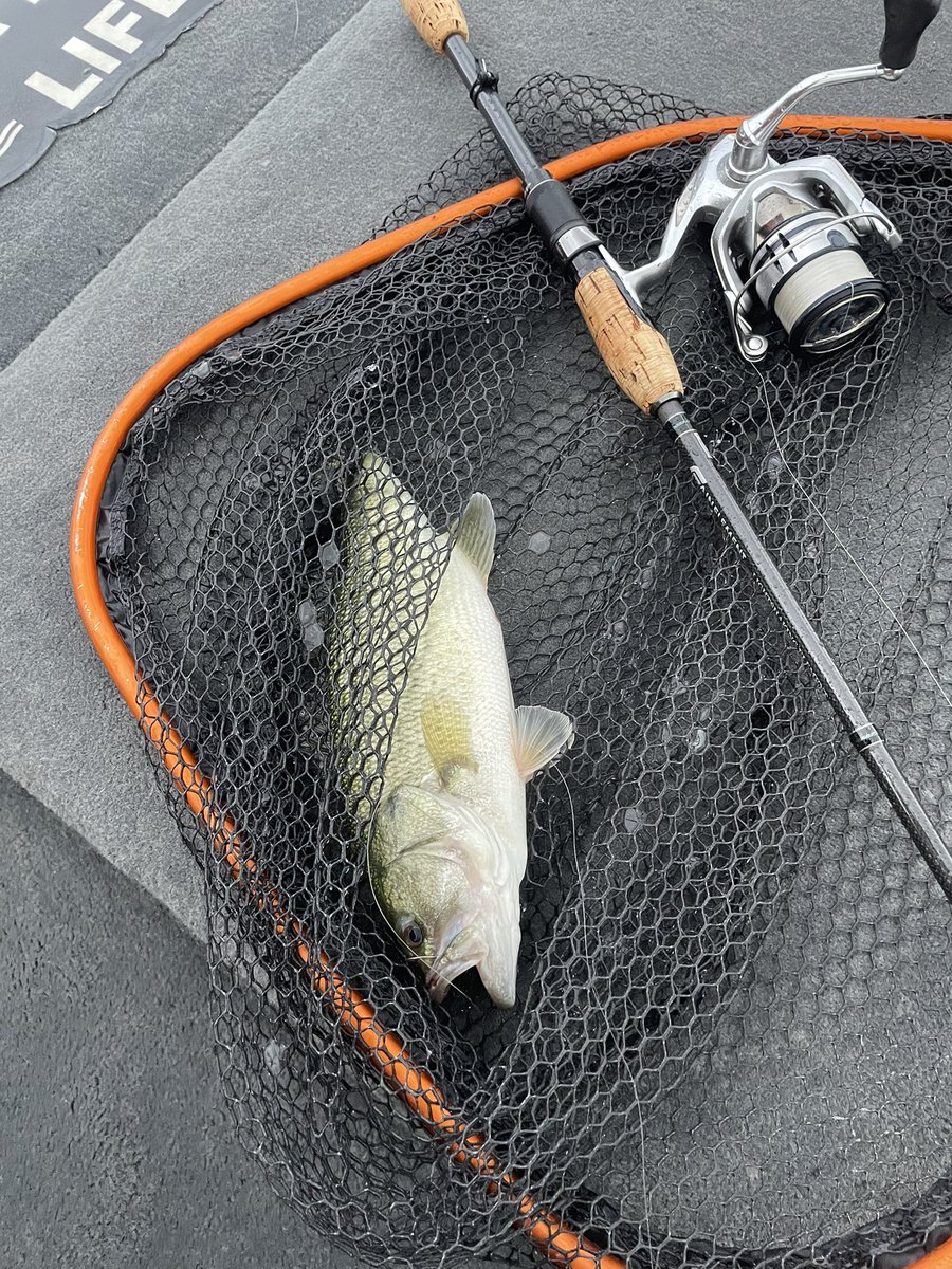 今日の琵琶湖

雨＋北風で寒いくらい。
久しぶりに漁師カッパです

風強くてやりたかったトップは断念。泣

ミドストで無限、たまにいいサイズと楽しめました！