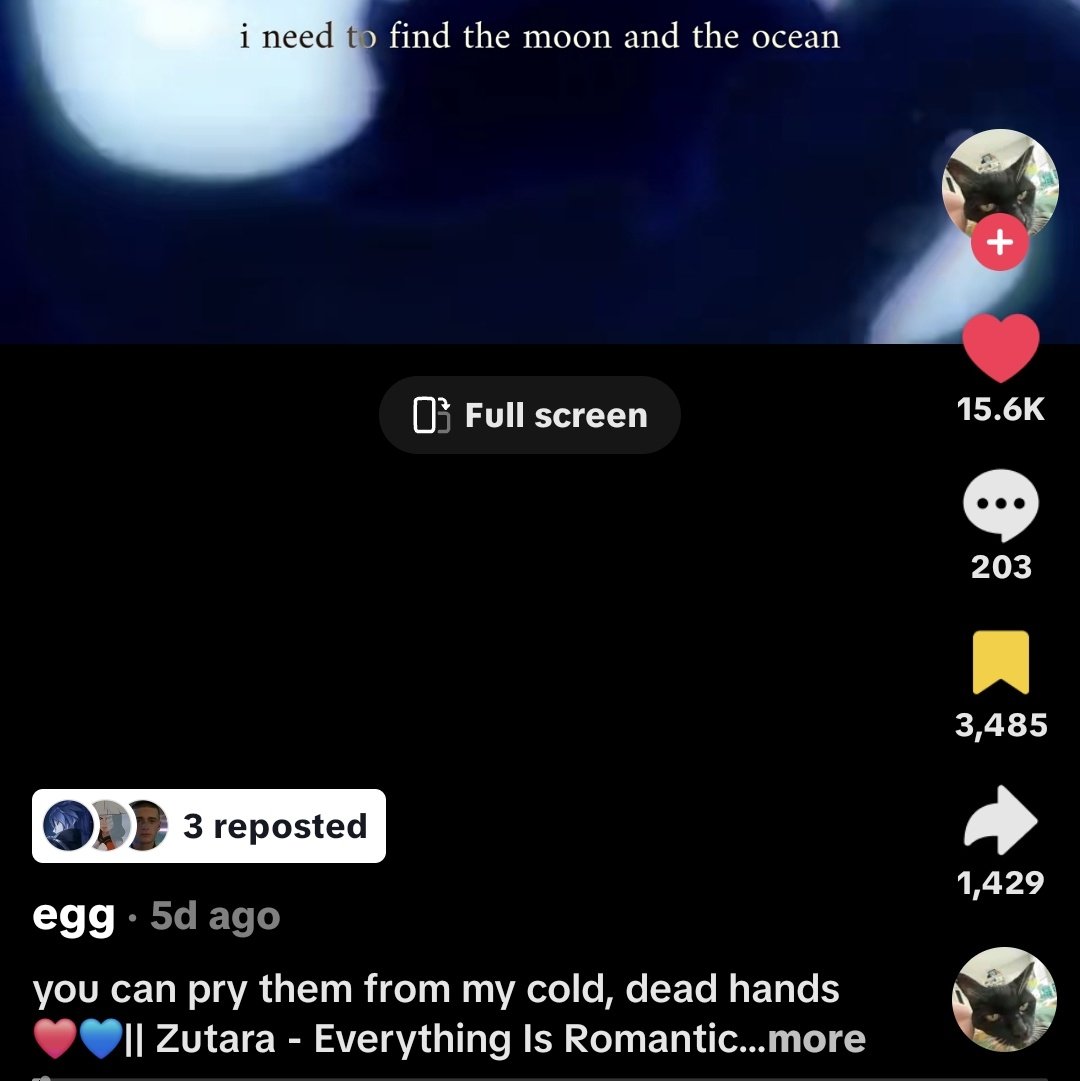 mea ☾𖤓 tweet media