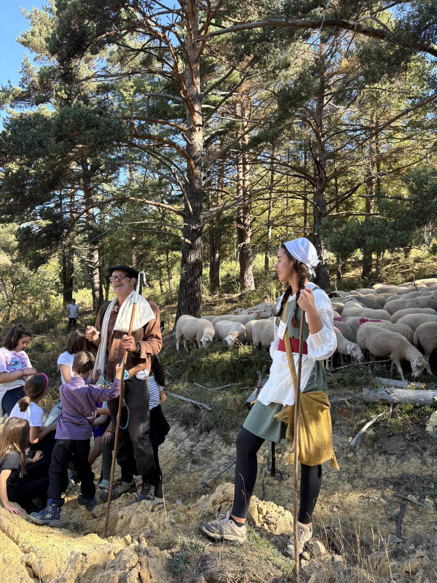 ¡Ya se marchan los pastores! 

🚶‍♂️🐑 Arrancamos la XIX Fiesta de la Trashumancia acompañando al rebaño de Brieva de Cameros desde San Andrés 

 ¡Empieza el viaje!👏🙌

#XIXFiestaTrashumancia