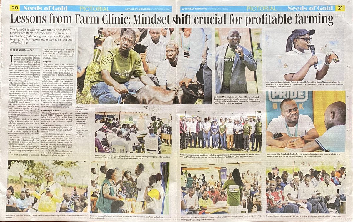 Bulindi ZARDI tweet media