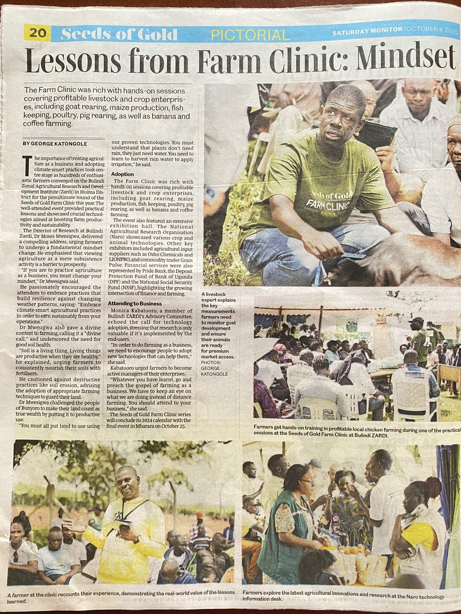 Bulindi ZARDI tweet media