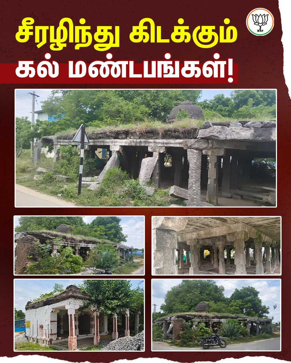 NainarBJP's tweet photo. அழிவின் விளிம்பில் கல் மண்டபங்கள்!
அலட்சியப்படுத்தும் திமுக அரசு! 

தமிழகத்தில் விழுப்புரம், மதுரை, விருதுநகர் உள்ளிட்ட பல மாவட்டங்களில் உள்ள வரலாற்றுப் பெருமை வாய்ந்த கல் மண்டபங்கள் முறையான பராமரிப்பின்றி சிதிலமடைந்து காணப்படுவது மிகுந்த வருத்தமளிக்கிறது. ஒரு காலத்தில் நெடும்பயணம் மேற்கொள்ளும் மன்னர்களும், வழிப்போக்கர்களும் தங்கி இளைப்பாரும் அன்னச்சத்திரங்களாக விளங்கிய கல்மண்டபங்கள், @arivalayam ஆட்சியில் சமூக விரோதிகளின் கூடாரமாக நிலைகுலைந்து கிடக்கின்றன.

தமிழ்மொழி மற்றும் தமிழ்ப் பண்பாட்டின் காவலர்களாகத் தம்மை முன்னிறுத்திக் கொள்ளும் முதல்வர் திரு. @mkstalin அவர்கள், தமிழ் மன்னர்களின் கலைநயத்தையும், கருணை உள்ளத்தையும் பறைசாற்றும் கல் மண்டபங்களைக் கண்டுகொள்ளாமல் அசட்டை செய்வது ஏன்? தனது தந்தையின் பேனாவிற்குக் கோடிக்கணக்கில் சிலை வைப்பதிலும், தனது மகனுக்காக கார் ரேஸ் நடத்துவதிலும் ஆர்வத்துடன் செயலாற்றும் முதல்வர் திரு. @mkstalin அவர்களுக்கு, வரலாற்று எச்சங்களாக மிஞ்சி நிற்கும் கல் மண்டபங்களைப் பாதுகாக்கத் தோன்றவில்லையா? காலத்தின் கண்ணாடியாக இன்றளவும் நமது பண்டைய கலாச்சாரங்களின் நிழலாகத் தொடரும் கல் மண்டபங்களைப் பொத்திப் பாதுகாக்க வேண்டிய ஆளும் அரசு, தனது கடமையைத் தலைமுழுகிவிட்டதா?

எனவே, ஏராளமானோர் தங்கும் வசதிகளுடன் கட்டப்பட்ட தமிழர் அடையாளமான கல் மண்டபங்களை அரசு புதுப்பித்து மறுசீரமைக்க வேண்டும் எனவும், அதுவரையில் ஆபத்தான நிலையில் சிதிலமடைந்து காணப்படும் கல் மண்டபங்களுக்கு மக்கள் செல்லத் தடை விதிக்க வேண்டுமெனவும் முதல்வர் திரு. மு.க. ஸ்டாலின் அவர்களைக் கேட்டுக் கொள்கிறேன்.