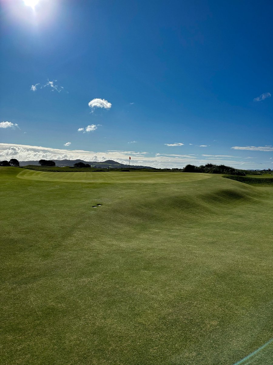 Jed Moller tweet media