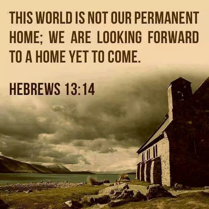 Scriptural15213's tweet image. 