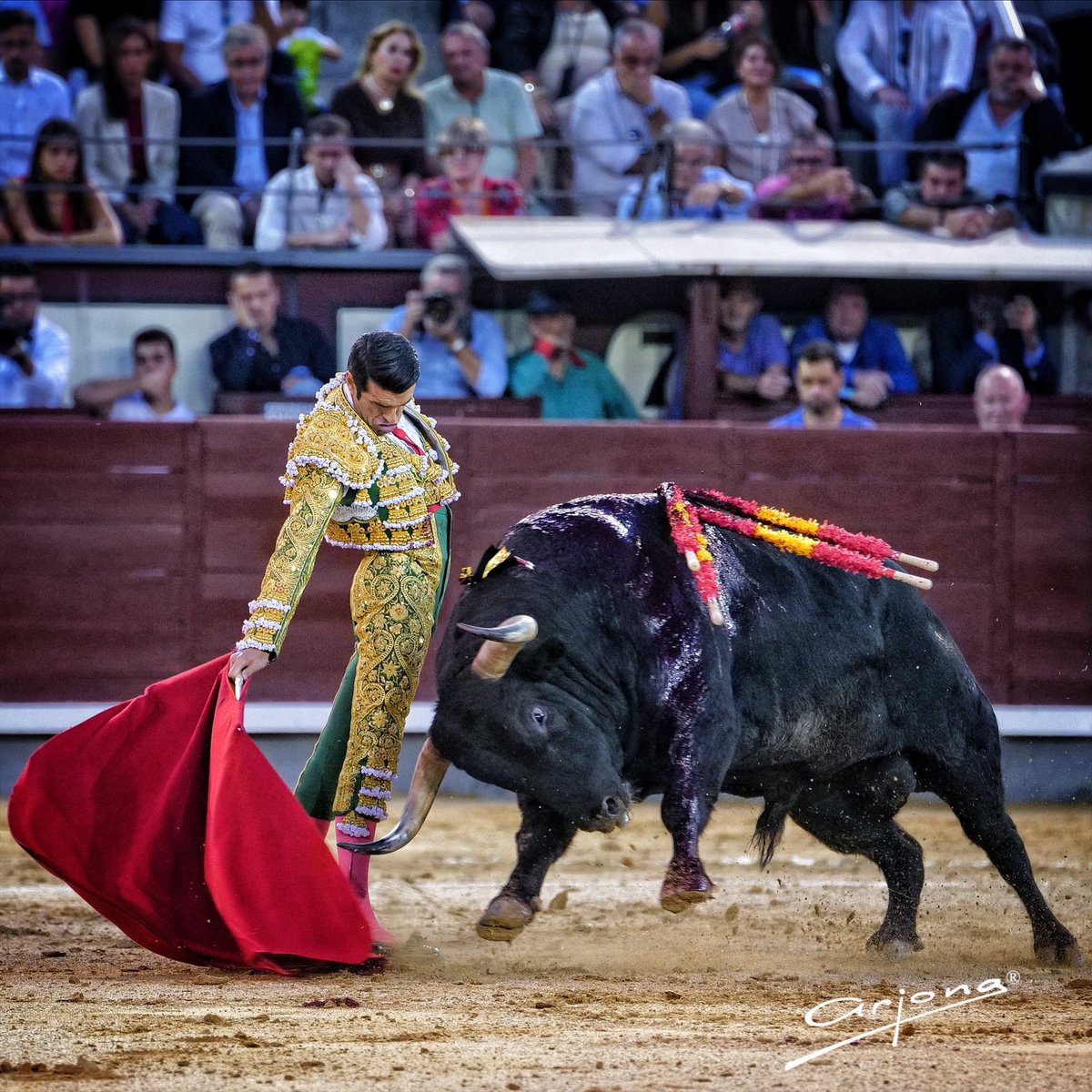 Firma_Arjona's tweet photo. 5ª Puerta Grande de Emilio de Justo en Madrid https://t.co/qJevE15epd