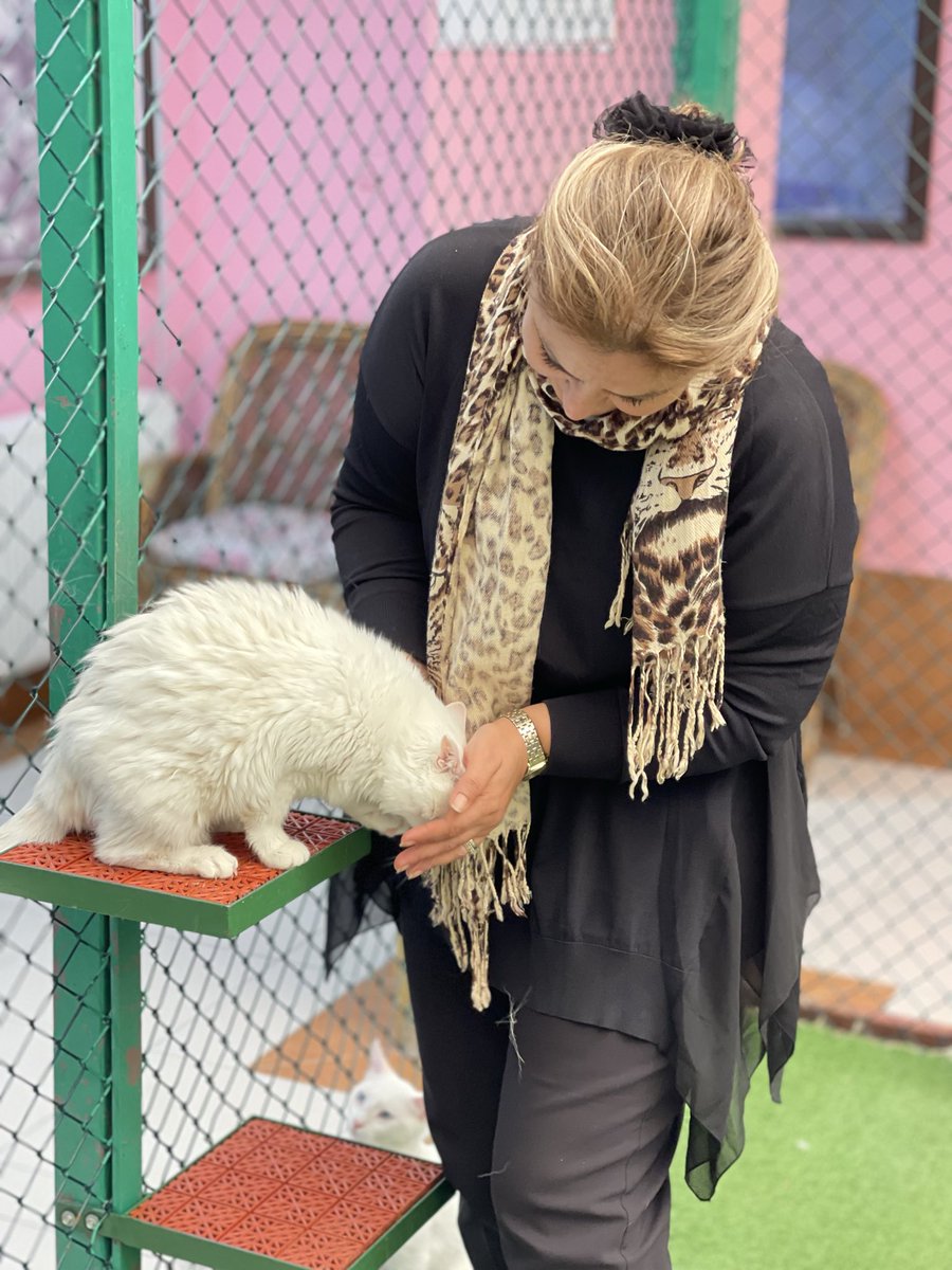 🐾 4 Ekim Hayvanları Koruma Günü 🐾
Onlar konuşamaz belki ama hissederler.
Bir kap su, bir tas mama, sevgi dolu bir bakış bile dünyalarını güzelleştirebilir.
Bu dünya sadece bize ait değil; birlikte yaşamayı, korumayı ve saygı duymayı unutmamalıyız.
#4EkimHayvanlarıKorumaGünü