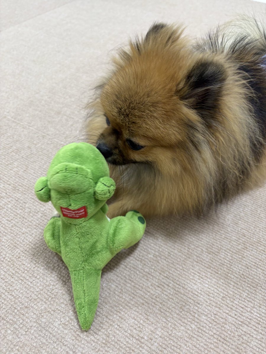 かいじゅうさんがかいじゅうさんと遊んでた🦖