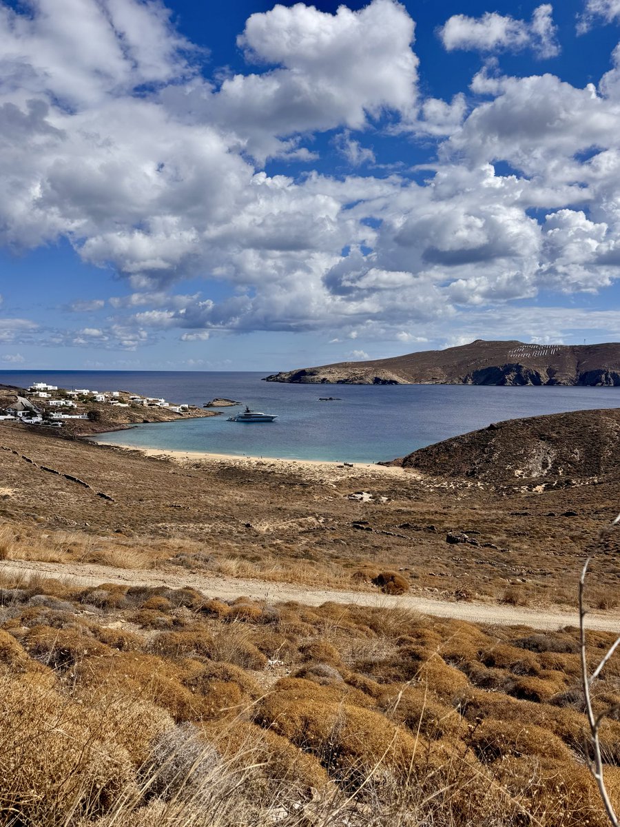 Island DAO 参与者在海滩上查看设备上的 DAO 应用特写