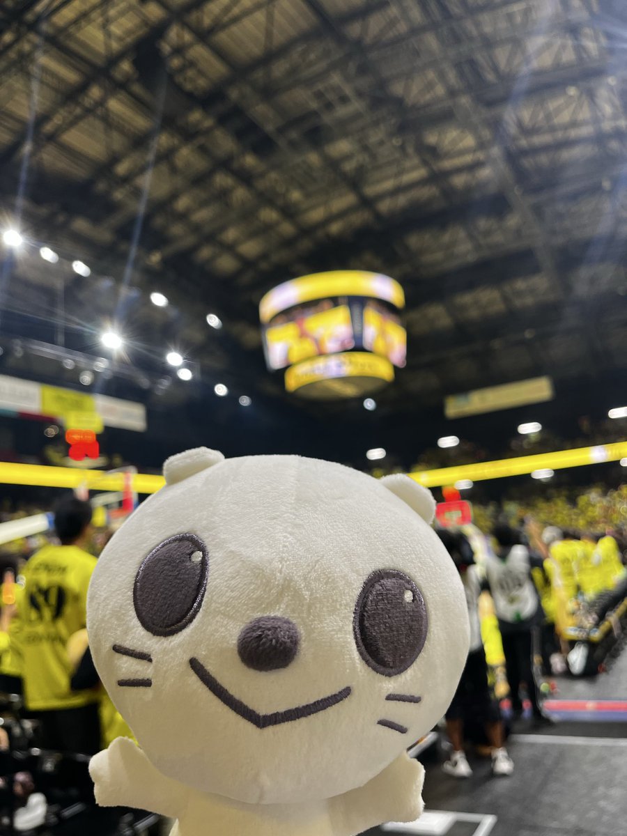 ✨🎊ないなーず🦁うぃん❣️🎊✨

きょうは #仙台89ERS が
勝利ぐりーーー❣️🌟🥳🙌

かいまくせん🔥にふさわしい
すばらしいゲーム…😳🏀
大ぐりりもあたらしいユニフォームに
みをつつんで👔
#黄援 していたぐりよ😼🟡

あしたもみんなで🤝
かいまく2れんしょう✌️
いっちゃおうぐりー！🥳