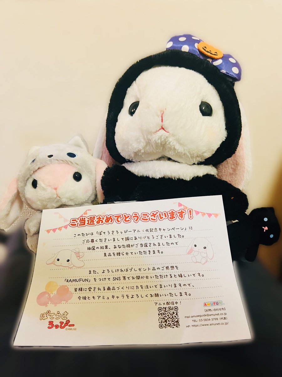 ミー様(人*´∀`)。*゜+ アミューズ AMUFUN【公式】 (@AMUSE_japan) / X