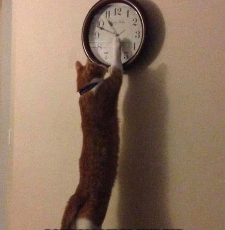 Tigger says it’s that time of year again. Don’t forget to turn your clocks forward tonight. #DaylightSaving