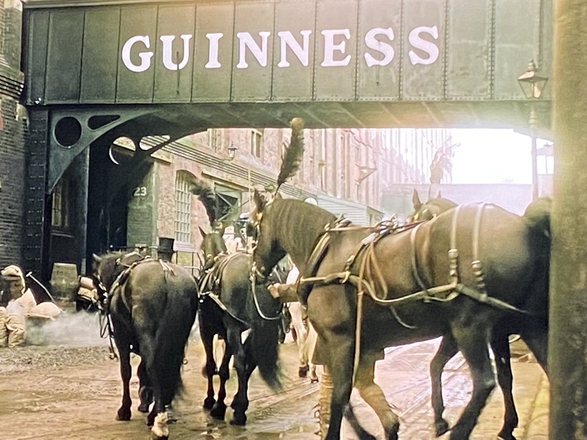 back_2basics's tweet image. Watching @HouseofGuinness whilst partaking in a pint of @GuinnessIreland