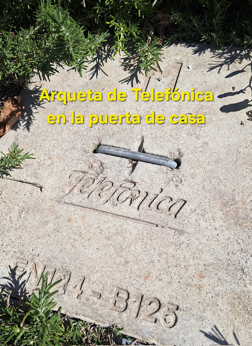 Julio Cerdá tweet media