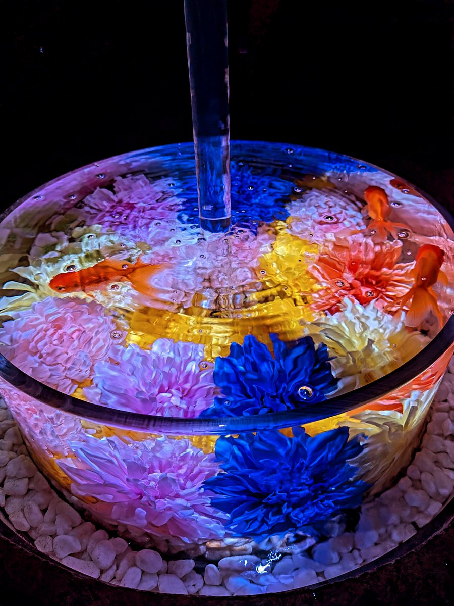 vNv9WgyH4XhlLXh's tweet image. アートアクアリウム展名古屋
少し前になりますが行って来ました🩷💛💙💜とても綺麗な器の中で煌びやかに泳ぐ金魚が儚くて見惚れました💕
#名古屋 #アートアクアリウム #金魚 #きれい #goldfish #Japan #イベント