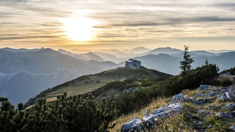 alex | lesha.eth 🟧 🇦🇹 tweet media