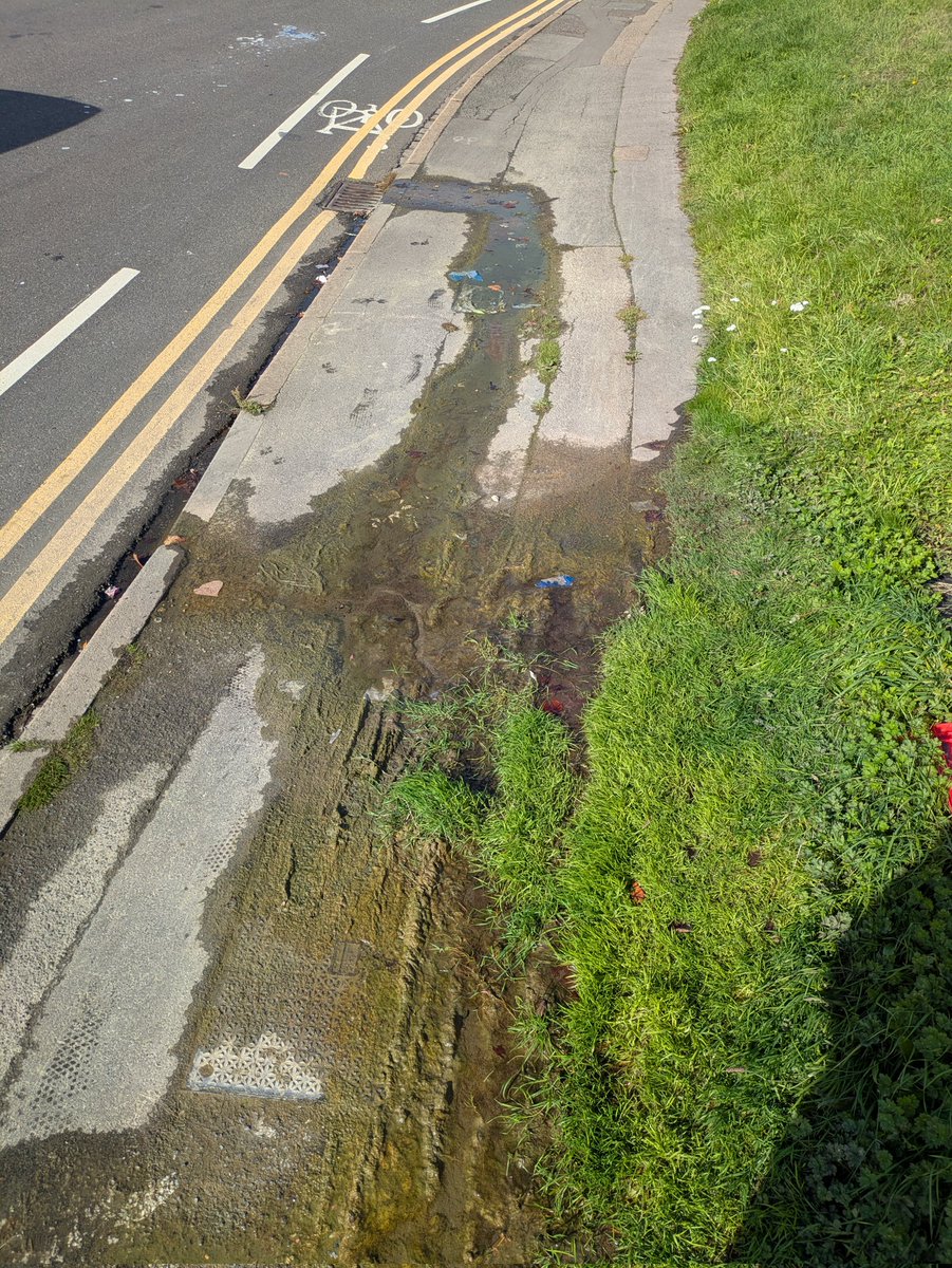 henrydwright's tweet image. It is now October 2025, 1.5 years later. An ecosystem has grown. The grass is invading the pavement. @thameswater has not fixed the leak. Reported again!