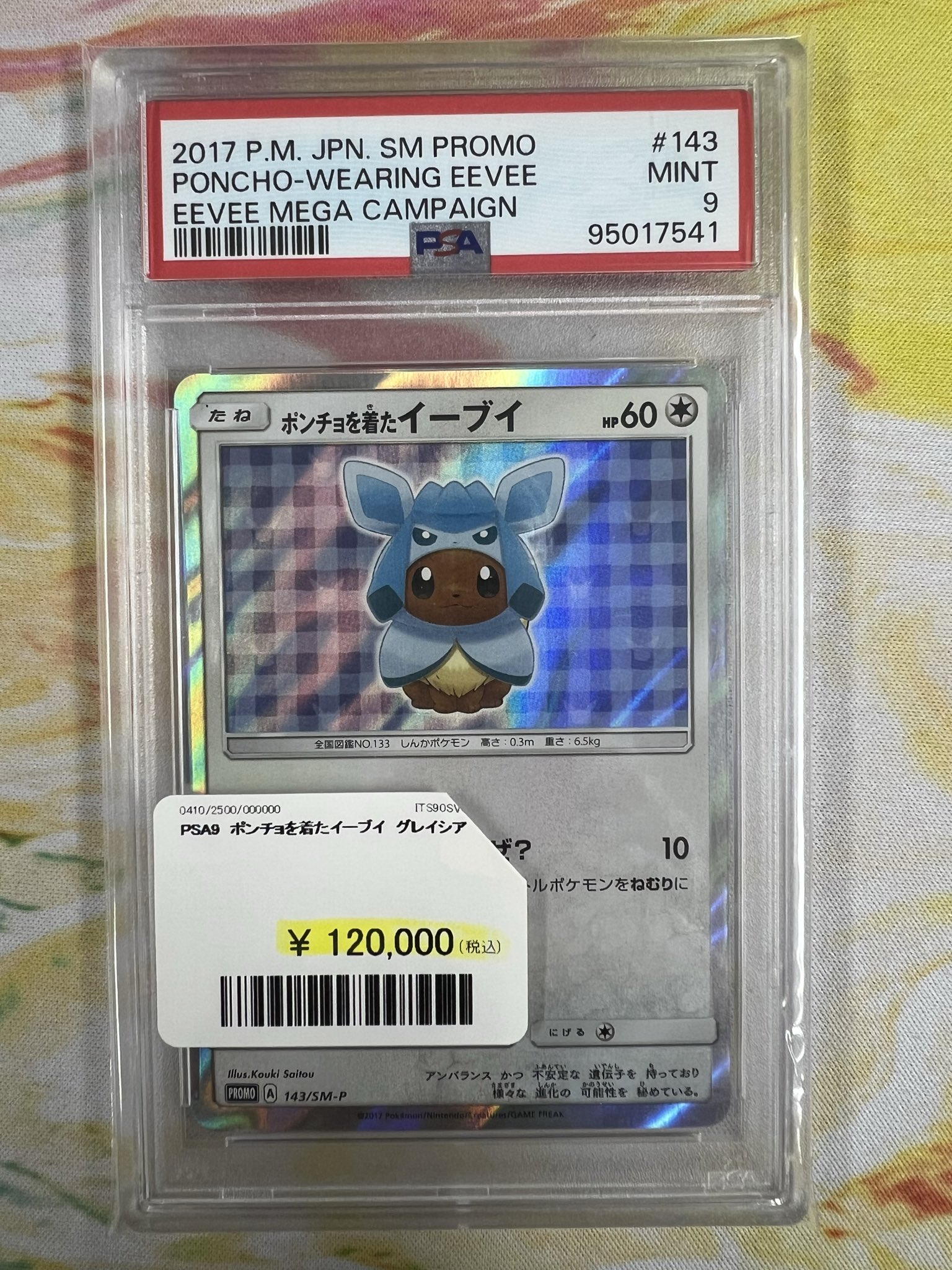 PDG Collector's Shop 秋葉原 on X: 