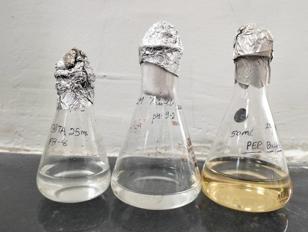 Yogitamalviya13's tweet image. Lab day :👩‍🔬Successfully prepared PEB buffer and stock solution of EDTA and Tris.🧪 Together they maintain the ideal environment for enzyme activity and protein stability in experimental setup.⚗️
#Biotech #Research #Labwork #Science  #StudyWithMe