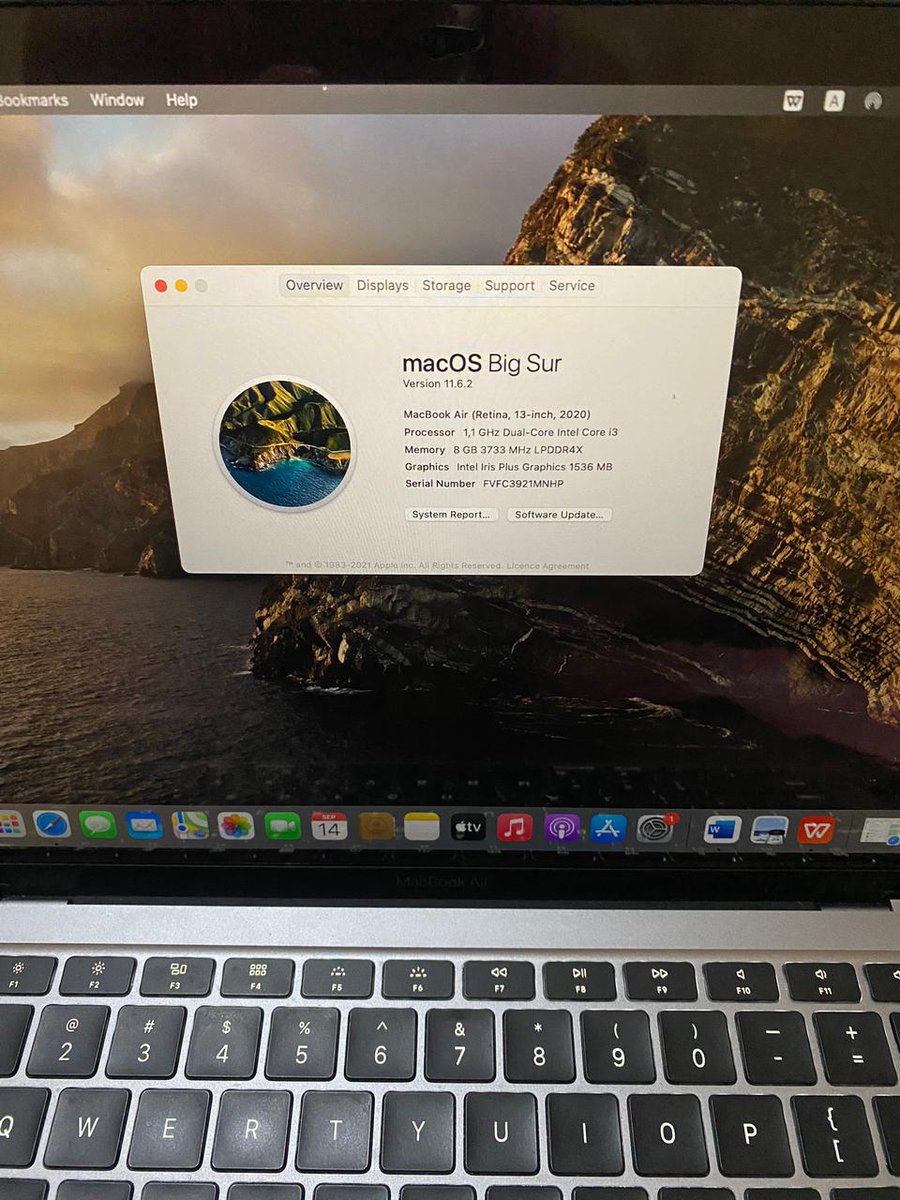 anothers tweet media