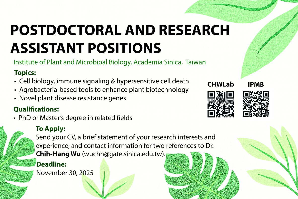 AdamWu9527's tweet image. Please RT! Exciting opportunities in plant–microbe interactions!
My lab @IPMBSinica is looking for passionate postdocs &amp;amp; RAs to join us in one of the following areas:
✨ Cell death &amp;amp; immune signaling
🧬 Discovery of resistance genes
🧫 Development of Agrobacterium-based tools