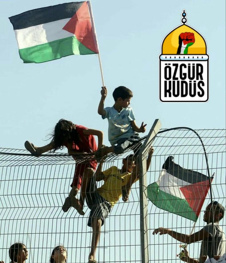 Gazze'de umut yelkeni hiç düşmedi 🇵🇸
#sumudFilistingazza