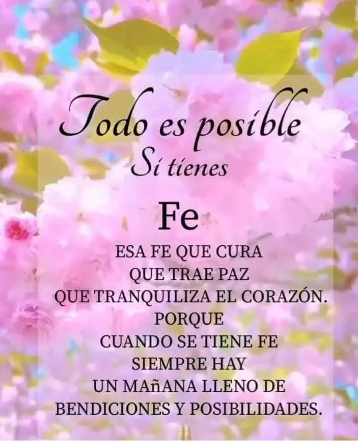 DelValleGreen's tweet photo. 4 de octubre 🤎

Comienza haciendo lo necesario, luego haciendo lo posible, y de repente te sorprenderás haciendo lo imposible. https://t.co/bHmLyrpXyr