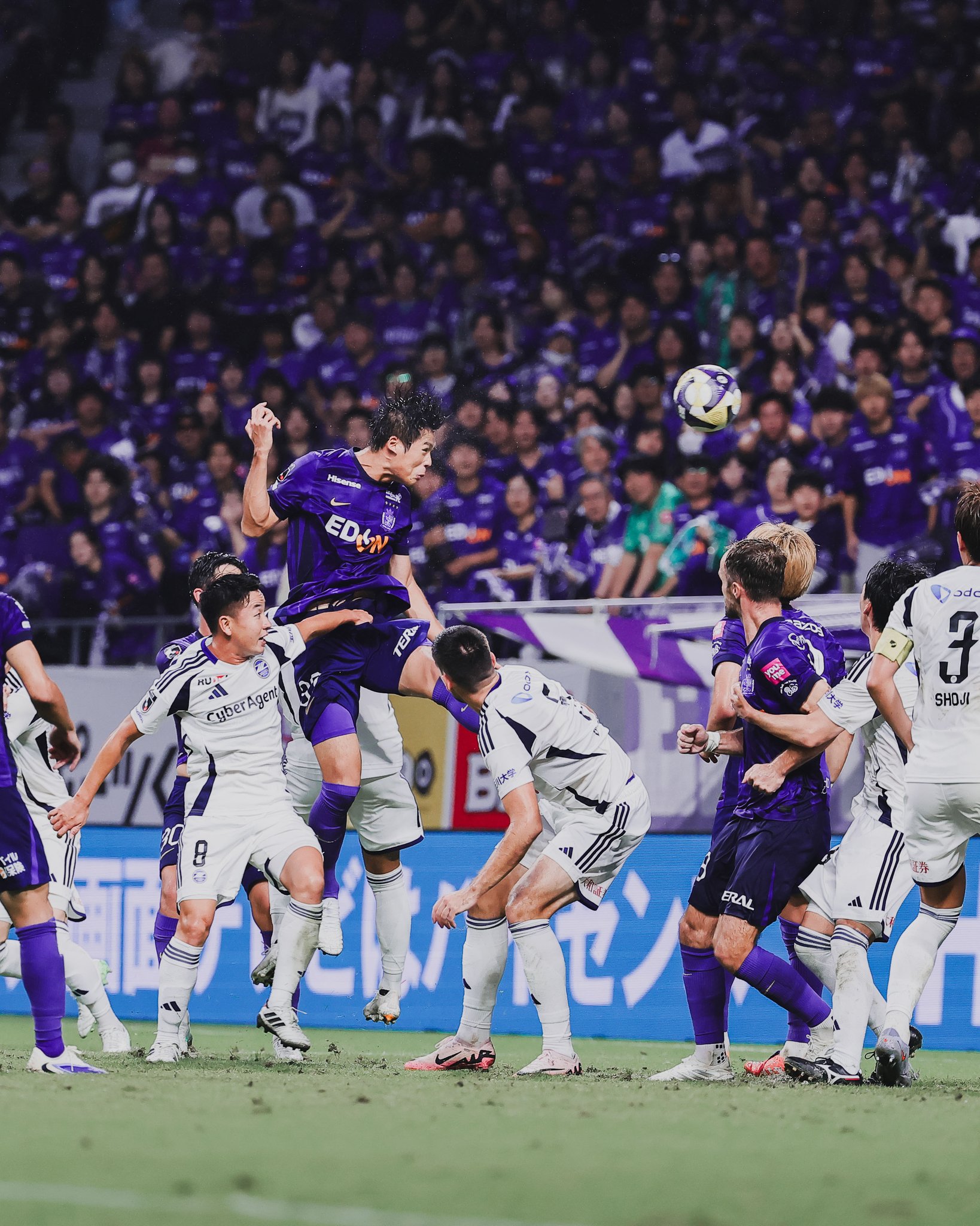 サンフレッチェ広島　ピステ　L サンフレッチェ広島 ピステ L