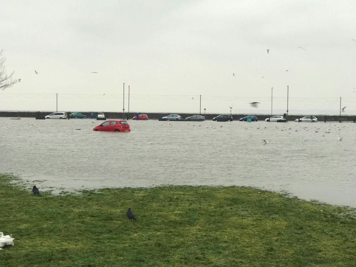 Look at this moron. Parking their car near the seafront when there was a storm warning. Hahahaha.