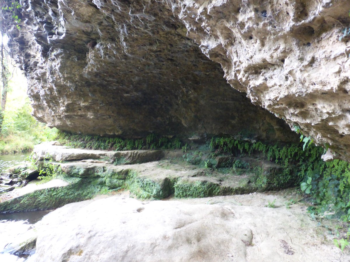 Fief des D’Albret, bâti au-dessus des gorges du Ciron, le #château royal de #Cazeneuve en #Gironde revint au futur #HenriIV en 1572, année de son union avec Marguerite de Valois, dite la "#reineMargot", assignée à résidence, faute d’héritier. #Grottegalante de la reine au bas.
