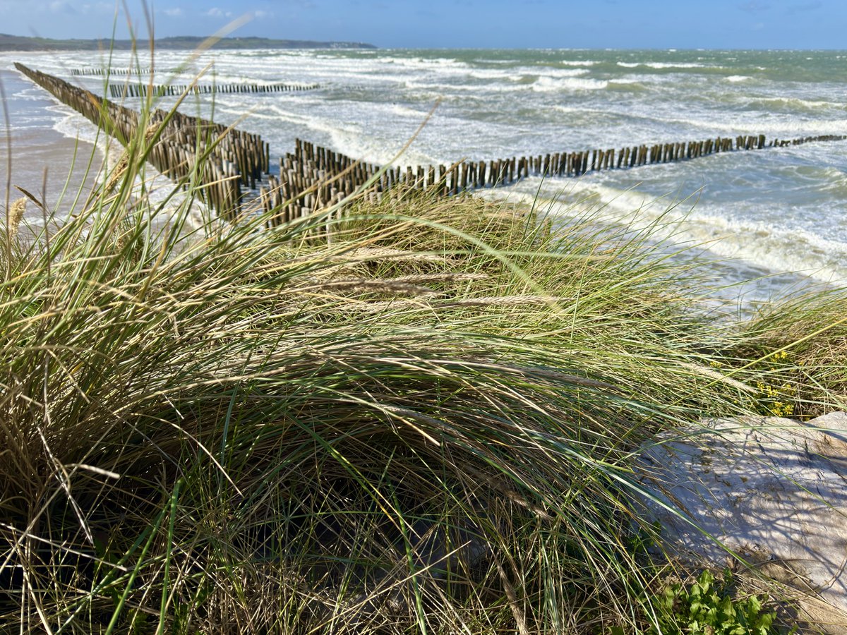 thomasollendorf's tweet photo. Wissant Plage #wissant #cotedopale https://t.co/es3I08b3aE