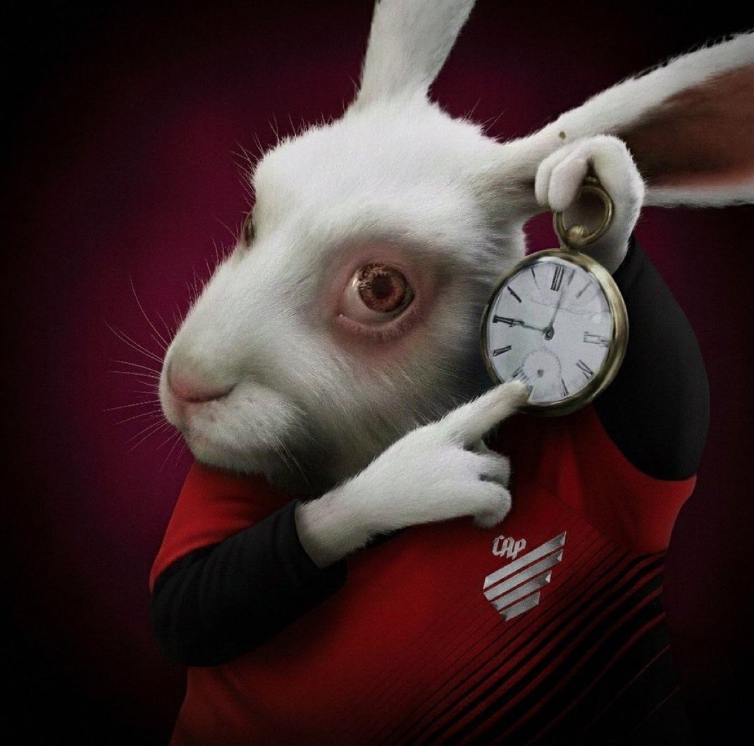 EdnaFlaquer94's tweet image. Isso tudo é MEDO?