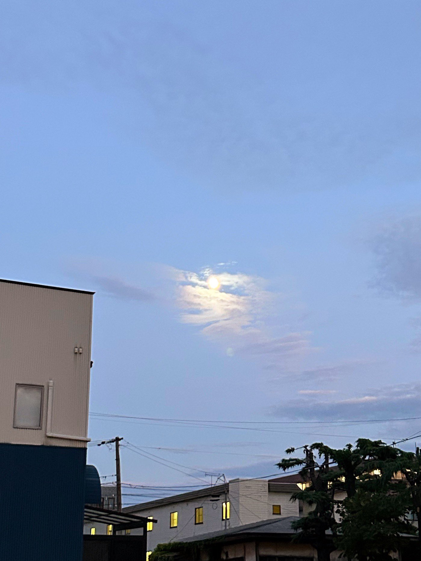 ★moon様おまとめ3点★ wiggle 🌧 on X: 