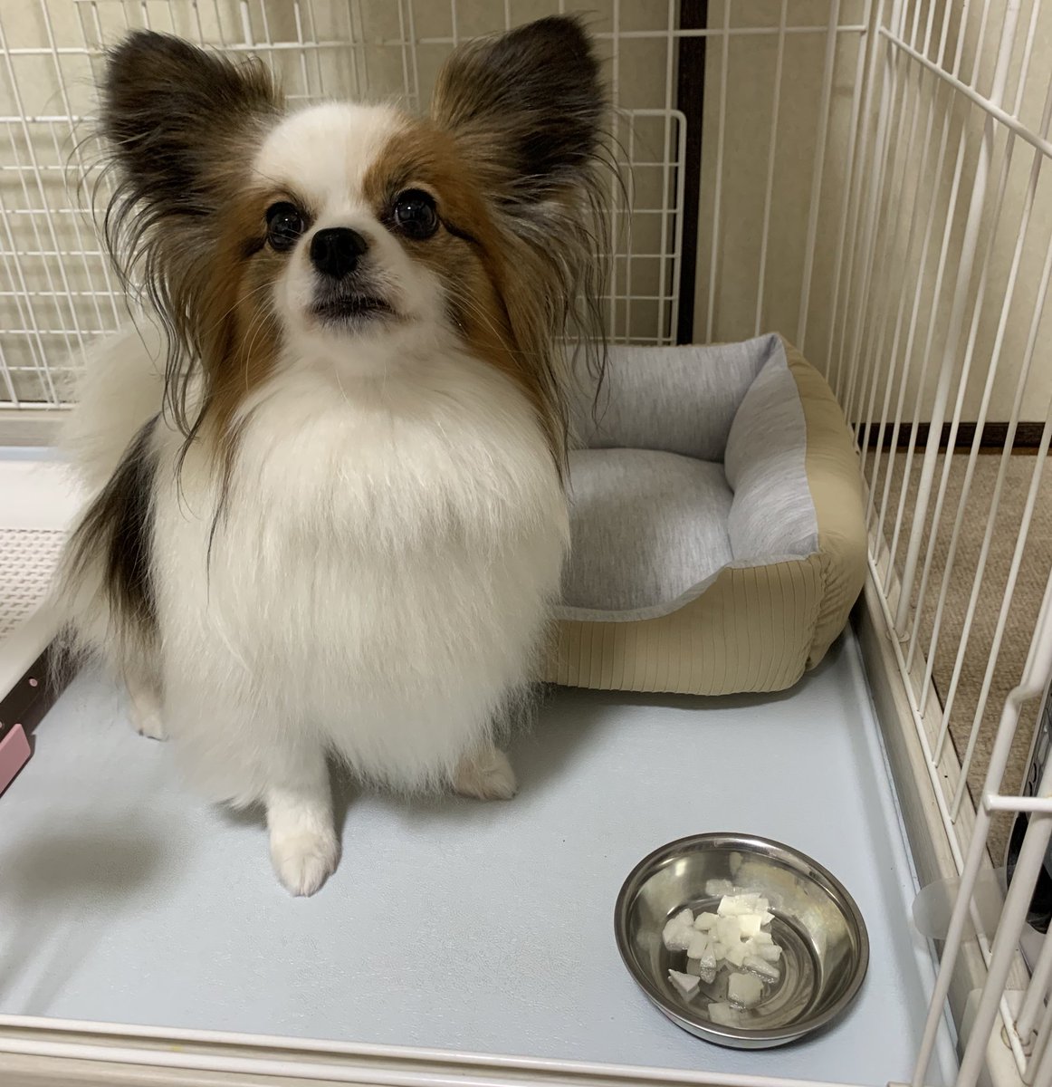 23%E3%81%B2%E3%81%A8%E3%82%8A%E3%81%98%E3%82%83%E3%81%AA%E3%81%84