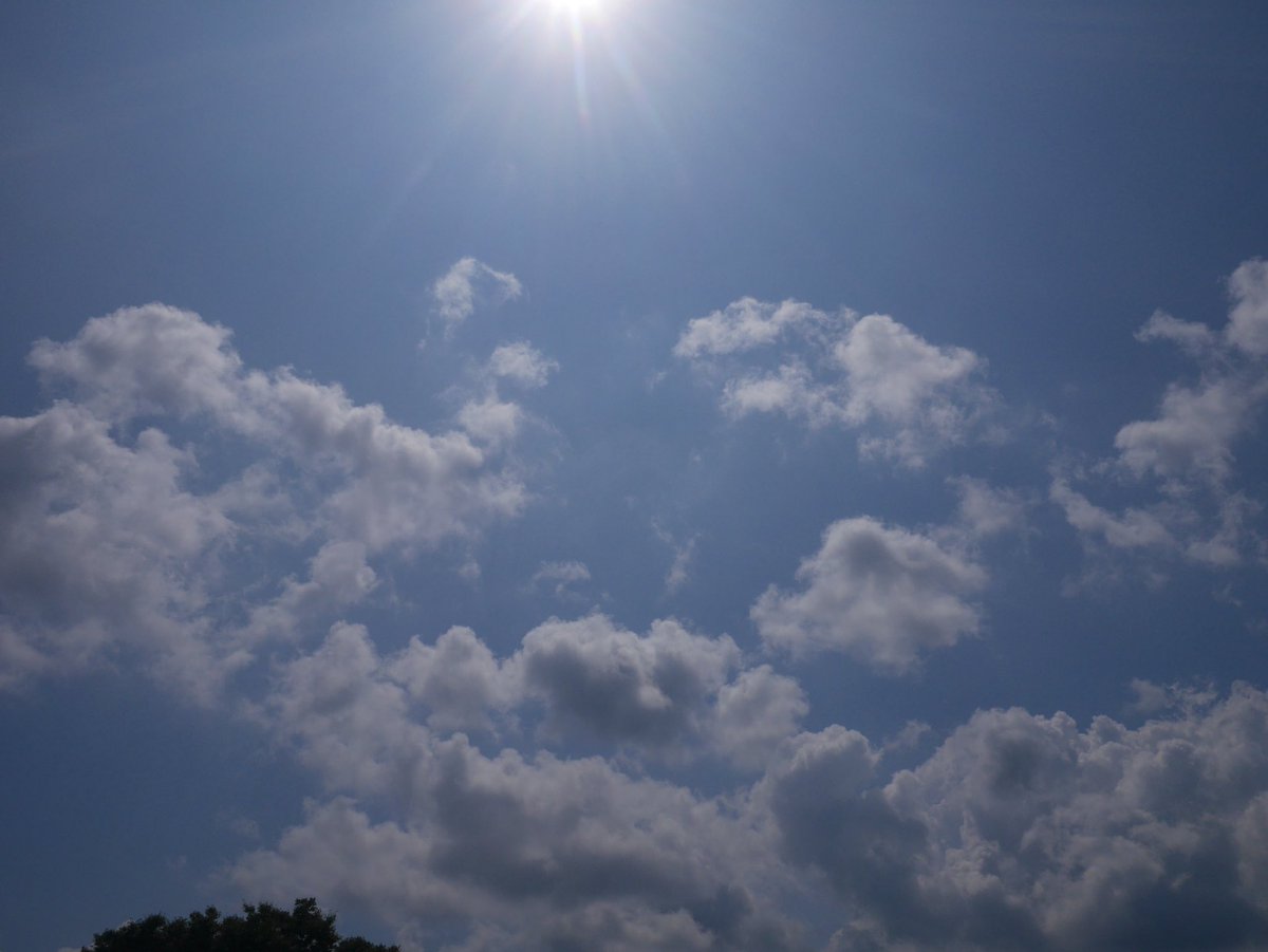 skyforeveryou's tweet photo. だいぶ涼しくなったね。

#写真好きな人と繋がりたい
#写真撮ってる人と繋がりたい https://t.co/XDsMoiP59t