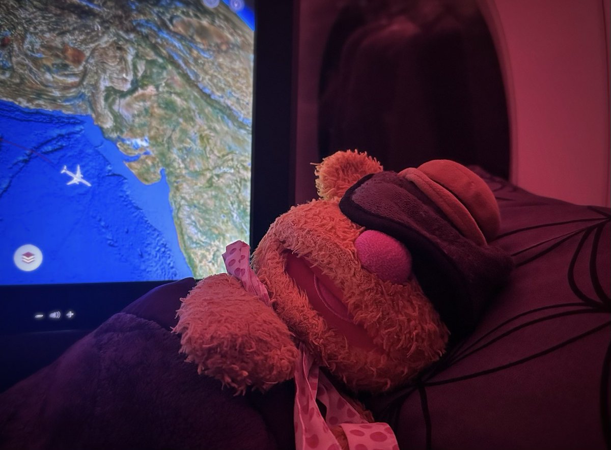 Fozzie_travels's tweet photo. Tonight I dreamt I would be flying to a place that I haven’t been to before. It felt like a whole new adventure was ahead of me. 
But wait, what if I wasn’t just dreaming?  Am I really travelling to my 70th country?
#Fozzie #travels #newadventure #flyer #whereto https://t.co/jcFQHGiFqQ