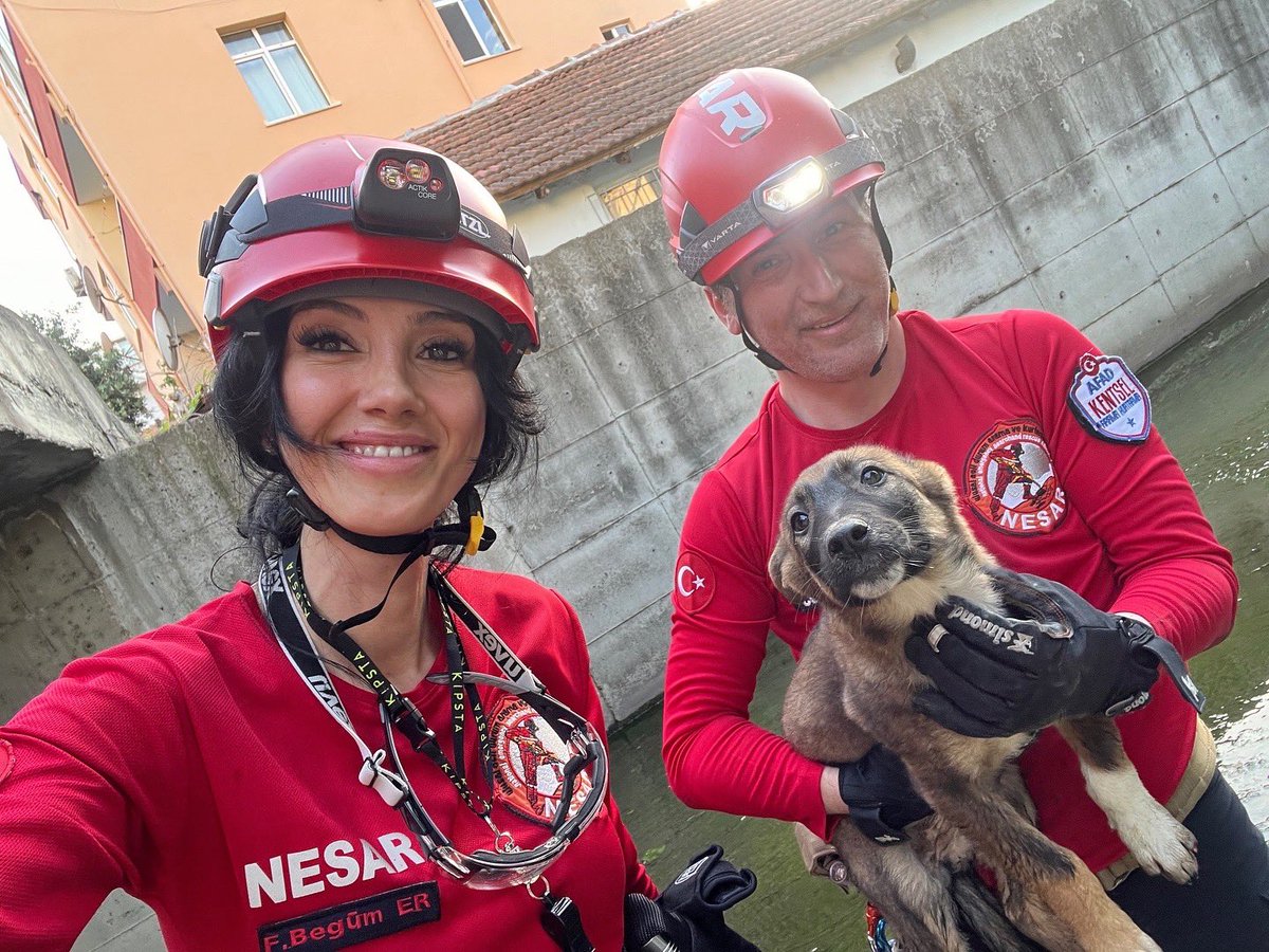 NESAR_SAR's tweet photo. 🐾 Dünya Hayvanları Koruma Günü ❤️
Hayatı birlikte paylaşıyoruz.
Dostlarımızın daima yanındayız.
#4Ekim
#WorldAnimalProtection https://t.co/R3yLL5hz67