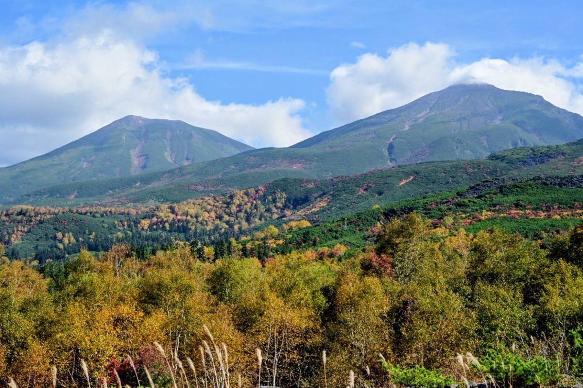 PREZO_hokkaido's tweet photo. PREZOフォトライター、十勝岳連峰の主峰“十勝岳”を間近に眺めることができるビューポイント、“十勝岳望岳台”にも行ってきました😊
こちらもあっという間に紅葉ピークを迎えそうです🍁

#北海道 #PREZO #プレゾ #PREZOフォトライター日記 #美瑛 https://t.co/TzT6cRQVKI