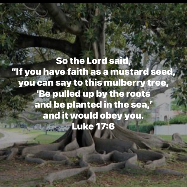 Michael65413248's tweet image. 5 Oct. 2025 #27thSundayInOrdinaryTime #MassReadings bible.usccb.org/bible/readings…
Saints' Commentaries
#2Timothy1:6-8,13-14 #StJohnChrysostom
ecatholic2000.com/fathers/untitl…
#Luke17:5-10 #CatenaAurea
ecatholic2000.com/catena/untitle…
Popes #StJohnPaul2 #BenedictXVI
emmanuel-maria.biz/index_files/Pa…
 #Singapore!