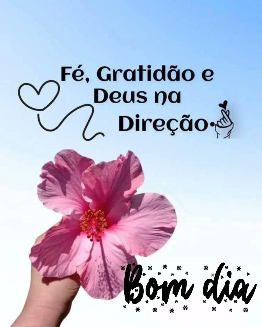 Vilson C Fernandes Goda(VIC) (@vcfgoda) on Twitter photo 